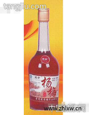 杨梅酒500ML图1