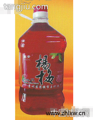 杨梅酒2L图1