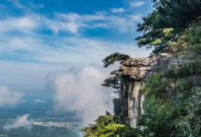 简介：