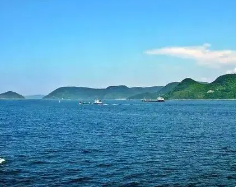 简介：