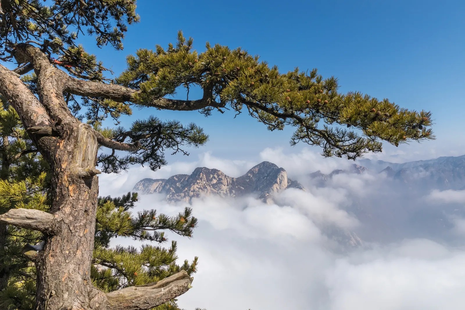 华山图3