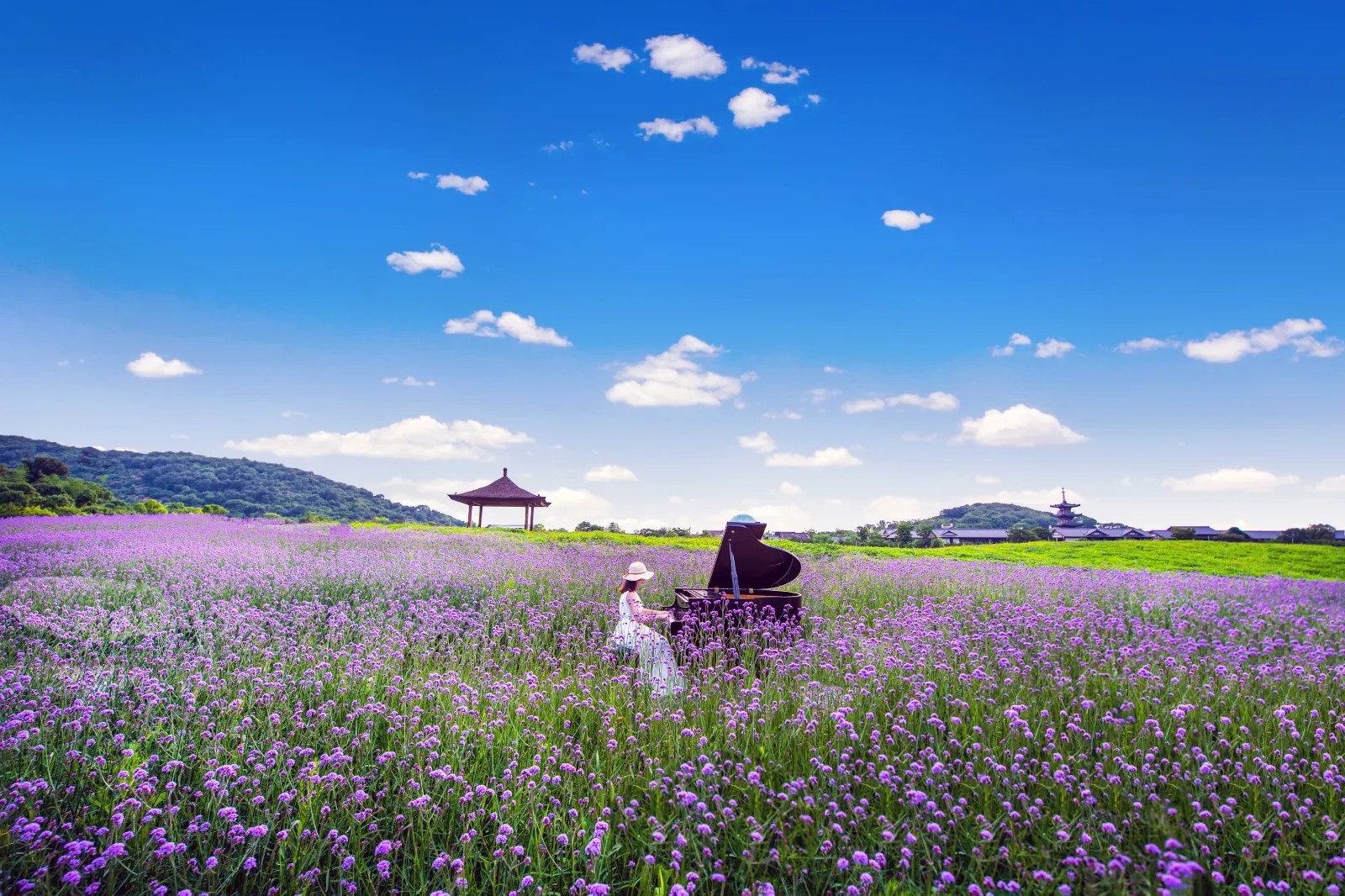 拈花湾图4