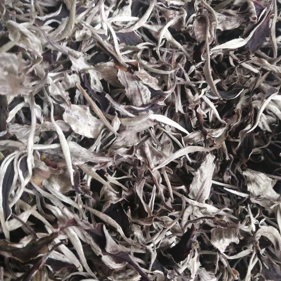 批发云南名茶月光美人白茶普洱茶生茶散茶景谷大白茶大叶种月光白图3