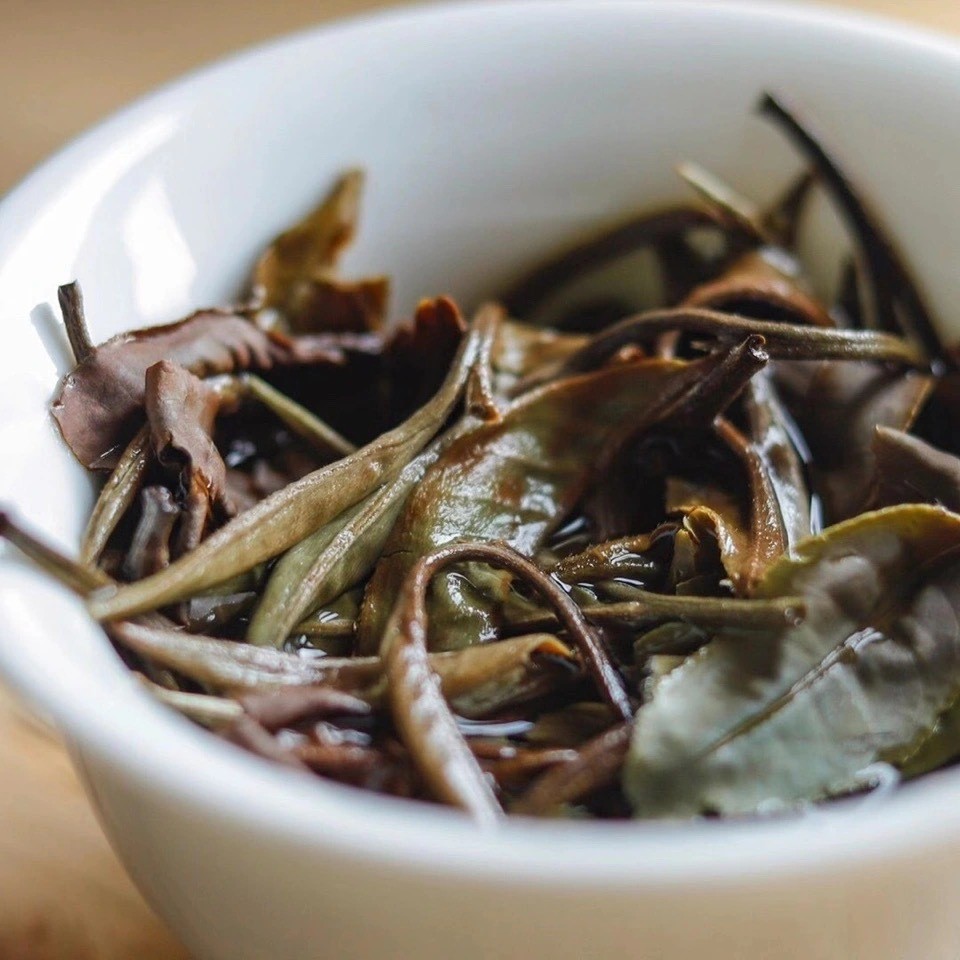 批发云南名茶月光美人白茶普洱茶生茶散茶景谷大白茶大叶种月光白图5