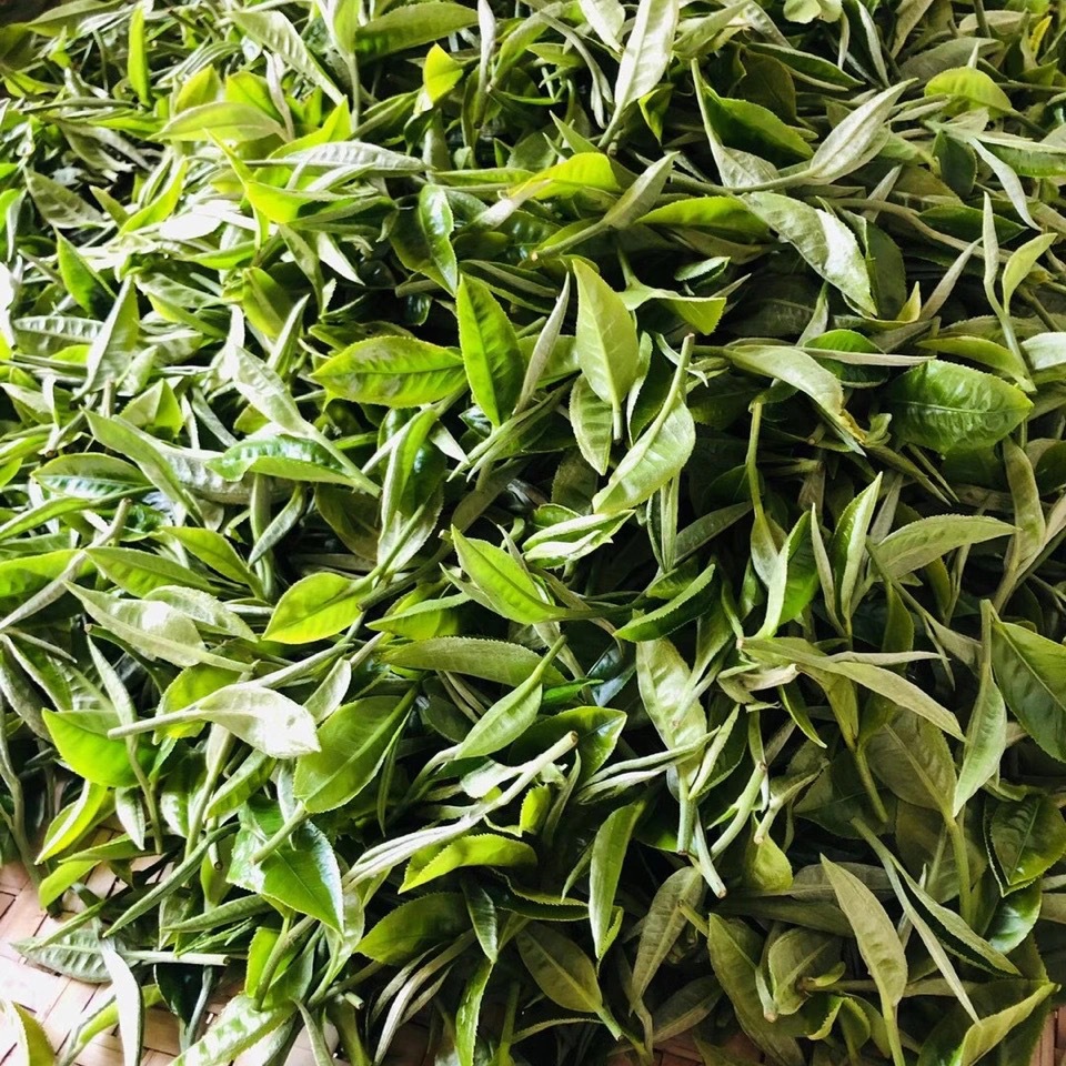微信图片_20210415202533.jpg