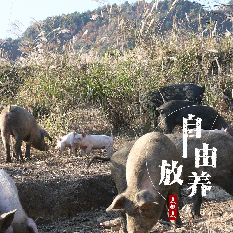 美缀美土猪川味香肠500g四川特产麻辣味腊肠农家自制手工腊味批发图3