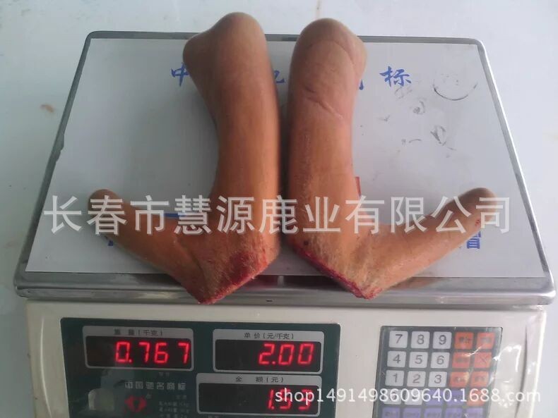 长春市慧源鹿业鹿场批发鹿茸片 鹿茸粉 鹿产品 手续全图5