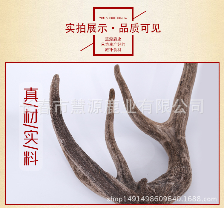 马鹿茸01