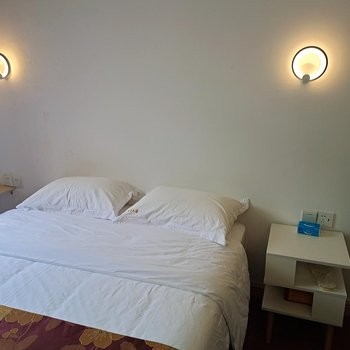 山景幽静大床房A205图4