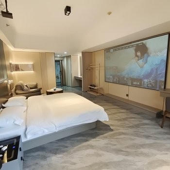 日式轻享轻奢影音大床房图4