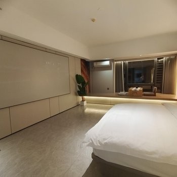 臻享影视大床房图2