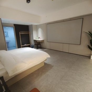 臻享影视大床房图3