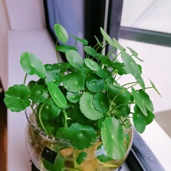温馨亲子特大床房图4
