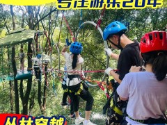 厂家定制丛林穿越户外拓展游乐设施亲子闯关项目丛林探险设备厂家