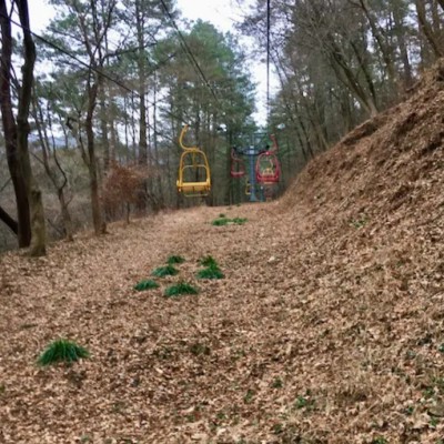 景区迷你低空缆车 简易型客运索道 观光缆车 轨道登山车 上山下山