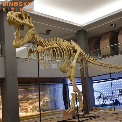 大型仿真恐龙化石骨架考古挖掘霸王龙骨骼头骨装饰博物馆展览摆件