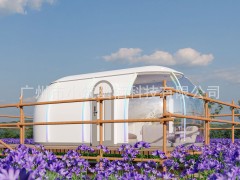遮阳隔热保暖星球舱3565星空房民宿户外露营帐篷太空舱泡泡屋防雨