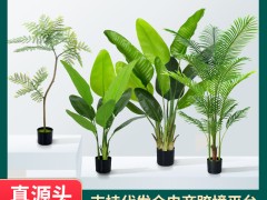 跨境仿真绿植旅人蕉散尾葵蓝花楹盆栽装饰高级感橄榄树假植物批发