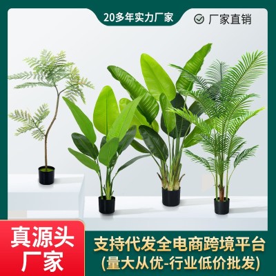 跨境仿真绿植旅人蕉散尾葵蓝花楹盆栽装饰高级感橄榄树假植物批发