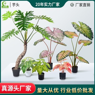 海虹仿真绿植造景仿真彩芋花水芋喜林芋餐厅盆栽摆件假植物批发