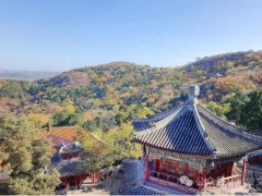 NO.2398【半坡诗苑】景志庆∥登北京香山